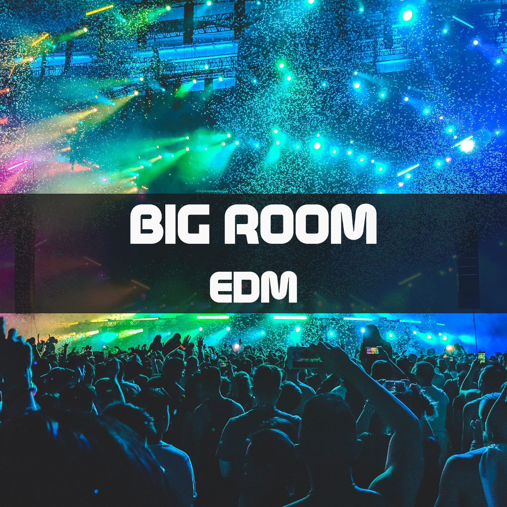Big Room EMD Playlist